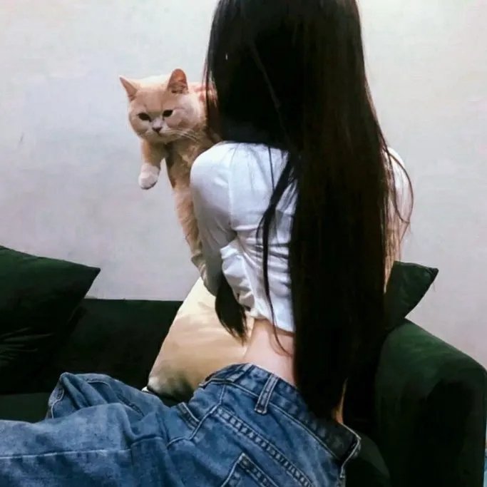 奉旨杀人